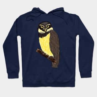 Artwork of a Spectacled Owl I Hoodie